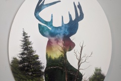 Deer Galaxy Sunset