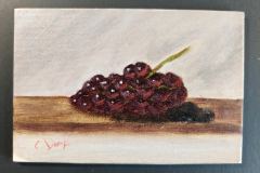 Grape Still Life Study